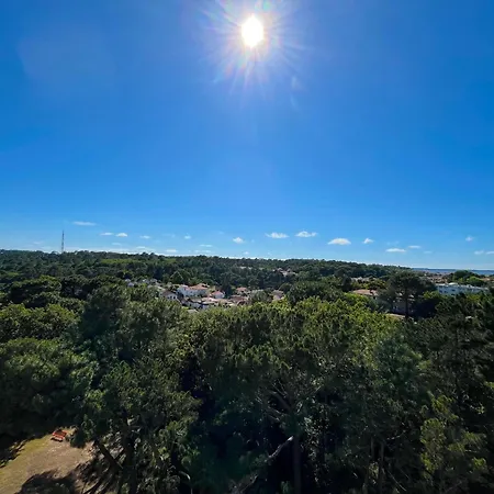 Apartment - Coquet Avec Balcon Et Parking - Quartier Calme - Trois Etoiles - Wifi - Fr-1-319-529 Arcachon